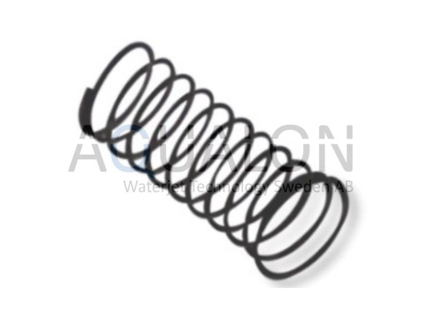 Check valve spring, 4100956