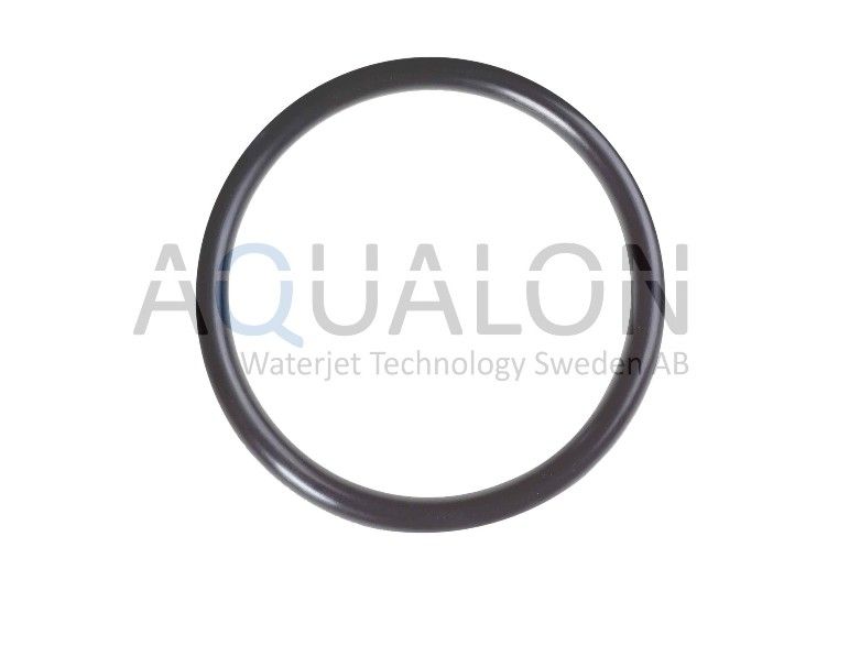 O-Ring Ring LP Wat. Inl. SLIV, 10074904