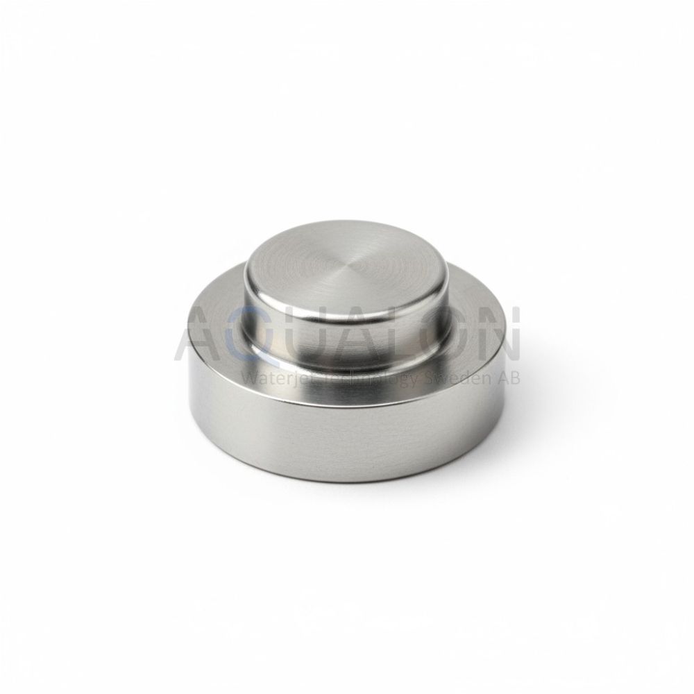 Inlet Poppet, SL-V, 20453619