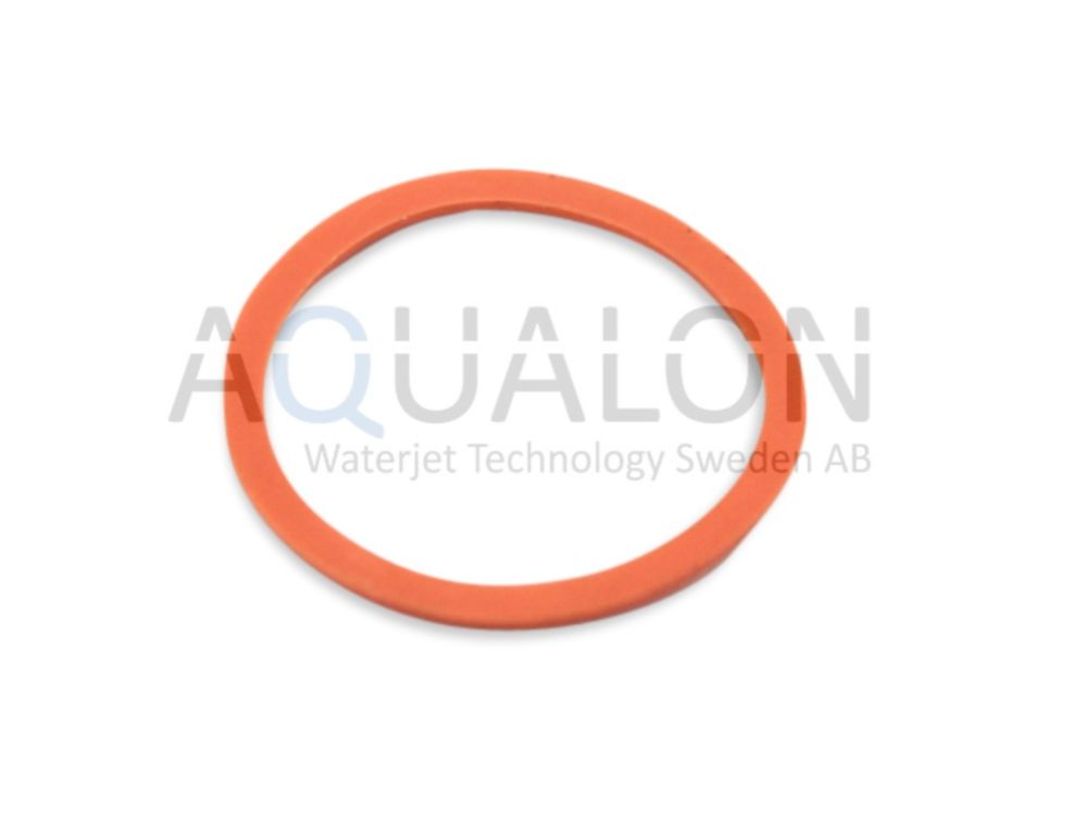 Back-Up Ring Piston SLIV, 05049994