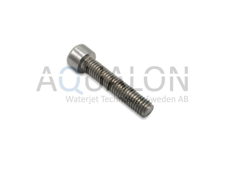 Screw, Proximity Switch M6x25MM, 10064707