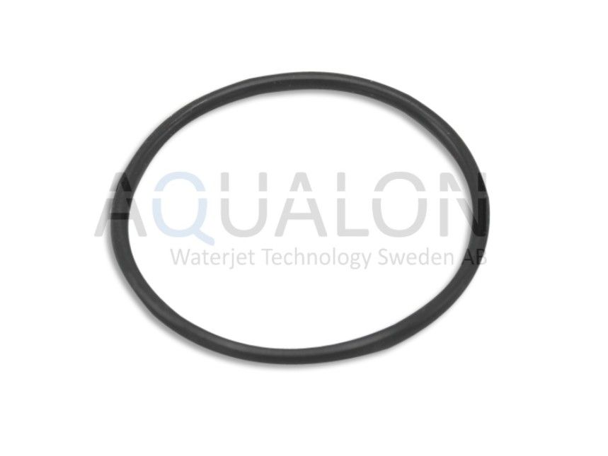 O-ring, 4100444
