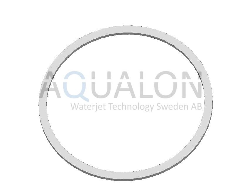 Back-up ring, 4100507