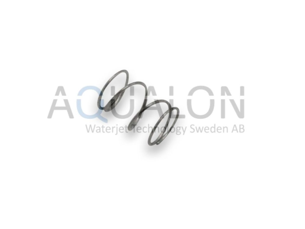 Spring, Check Valve, WA1029