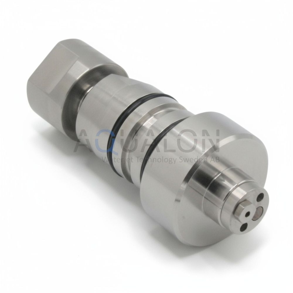 Check Valve Assembly, 010559-3