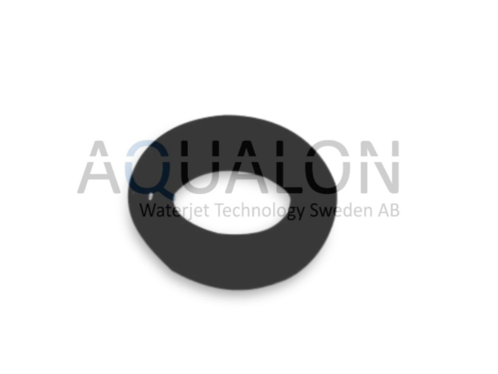 O-RING, Pneumatic Valve, 10150233