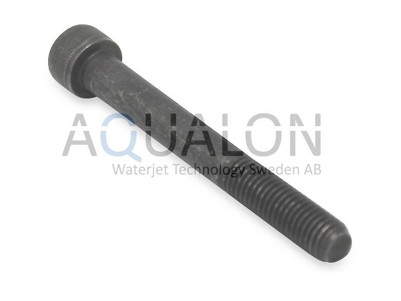 Screw, Hex SKT M10-1.5 x 65, 20427994