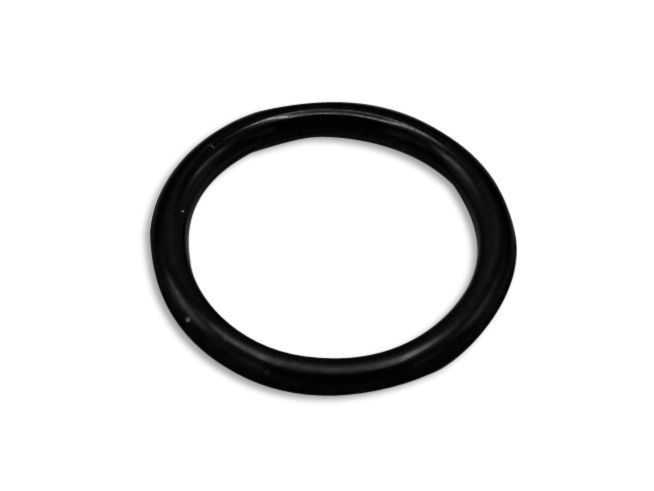 O-ring, 10074227