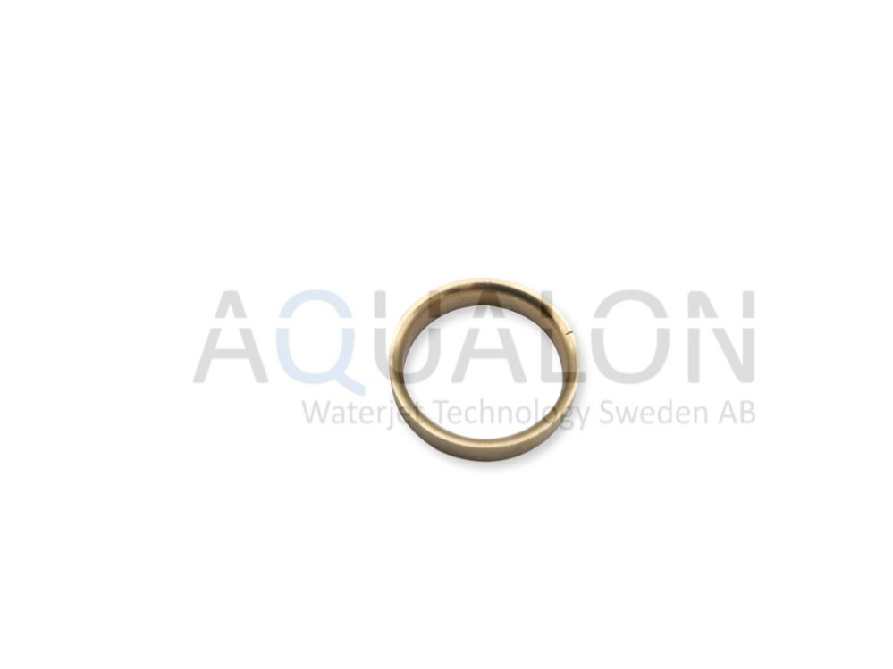 Check valve support ring 303274