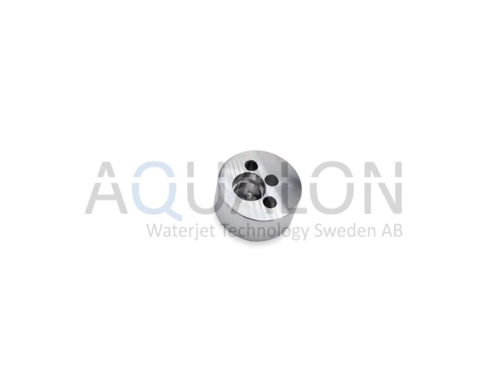 Retainer check valve, 301873