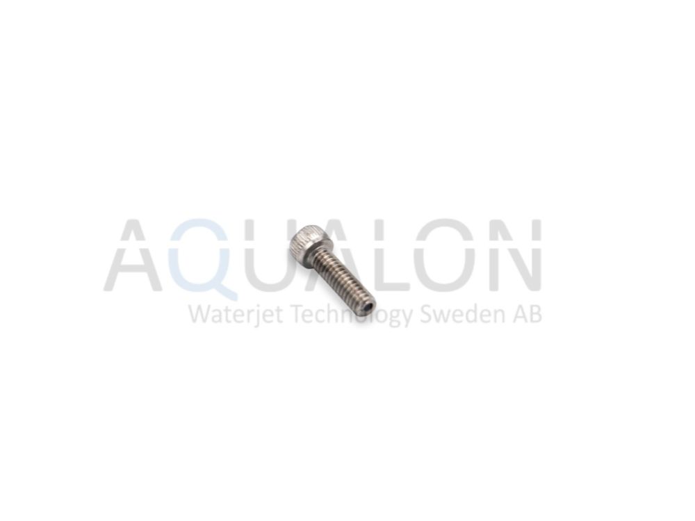Check valve screw, 300734