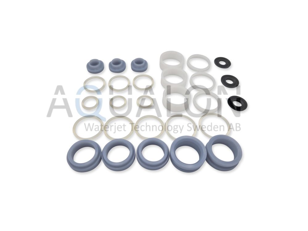 Seal kit, 303019