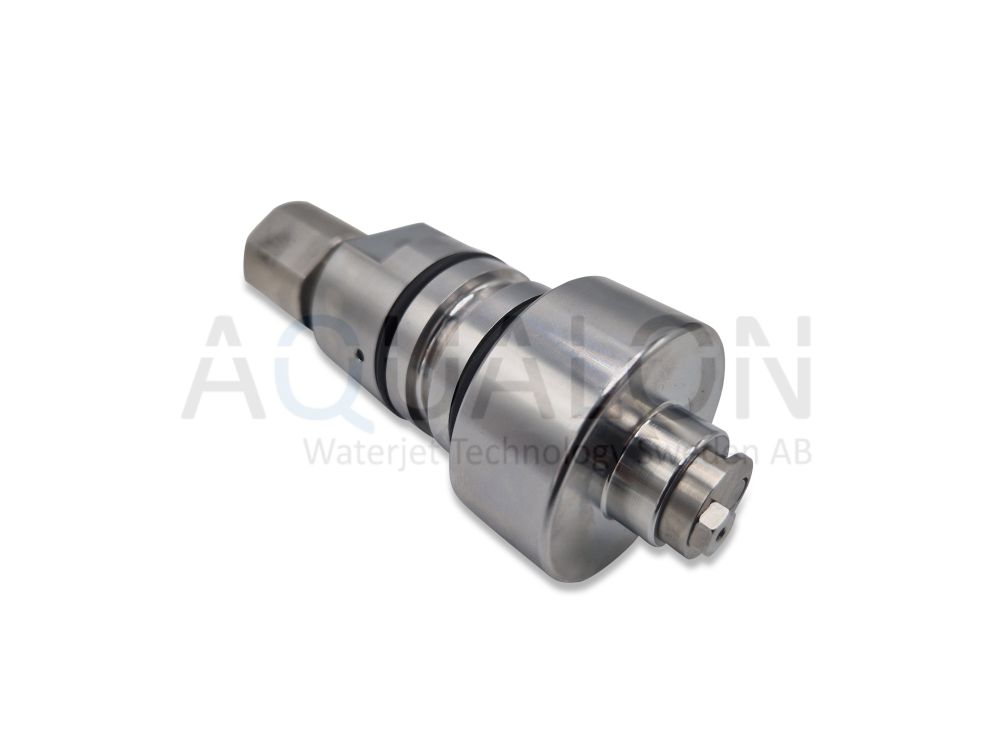 Check valve assembly, 301002-3