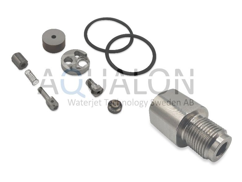 Check Valve upgrade kit, 302040-1
