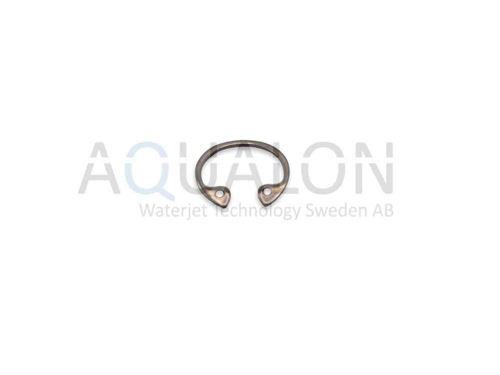 Snap Ring, 200913