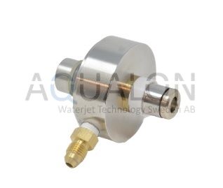 Check valve Assembly, 303401