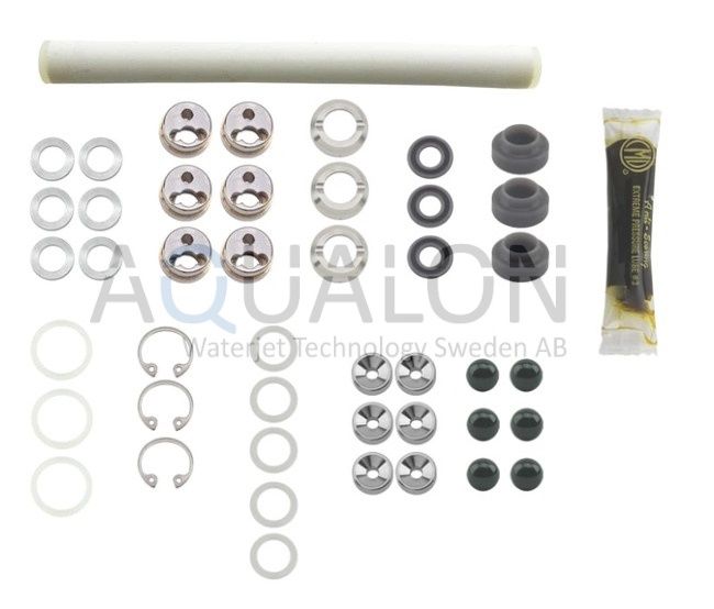 Minor Rebuild Kit, EnduroMax, 308308