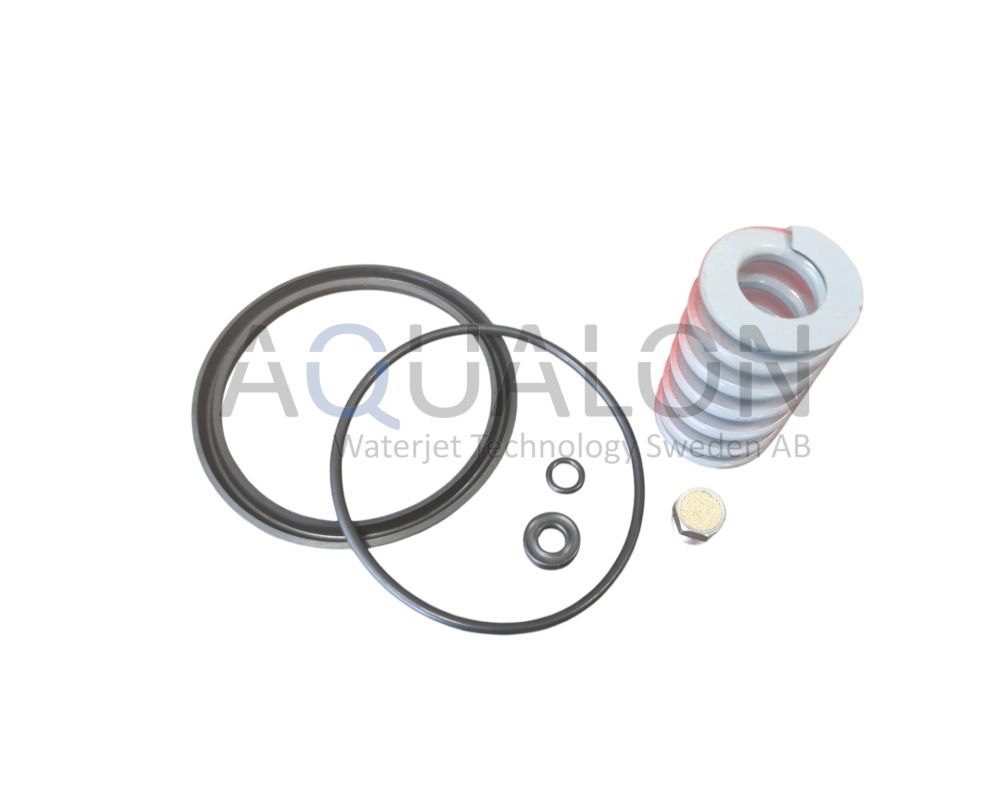 Air Actuator Repair Kit, 302017-1