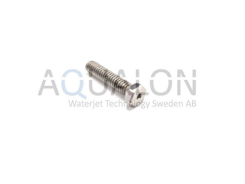 Retaining Screw, WS1045