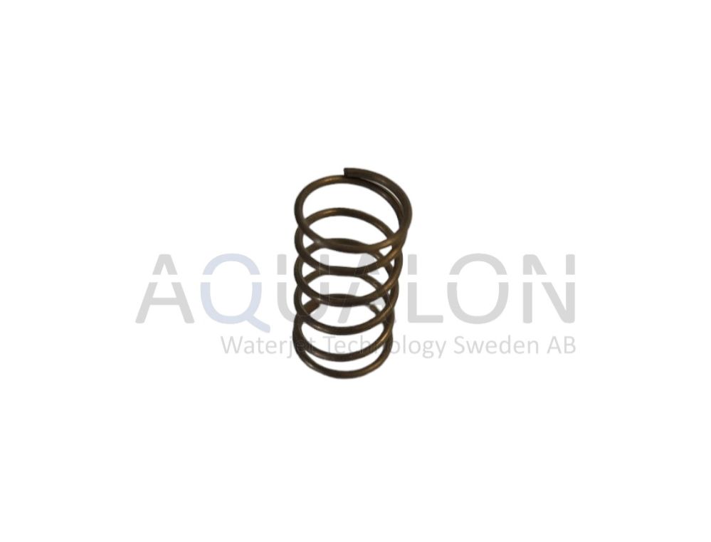 Check Valve Poppet Spring, 1-11126