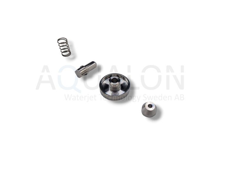 Check Valve Repair Kit, 1-12024