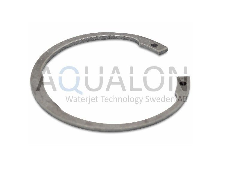 Snap Ring, Hydraulic Bushing, WS1011